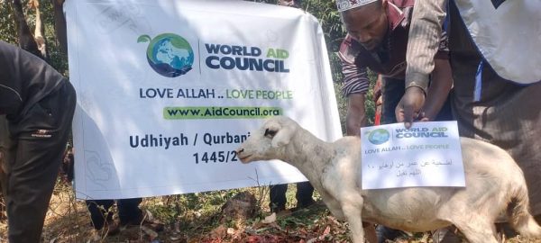 Udhiya / Qurbani - Image 3
