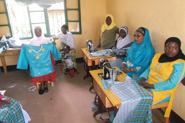 Sewing Machine and Training - $675