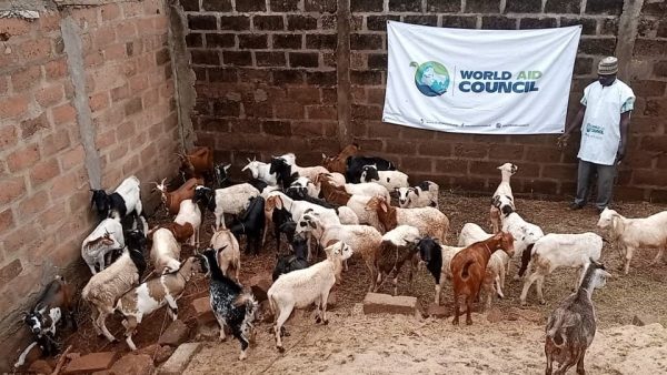 Udhiya / Qurbani